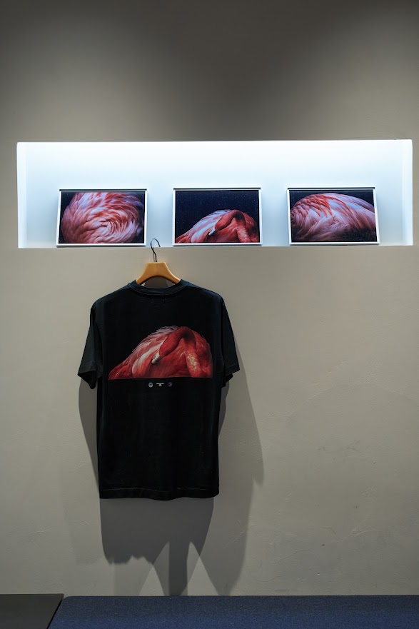 OPUSJAPAN×写真と狼。